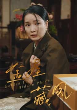 热门短剧金屋藏凤最新全集完整版免费在线观看未删减版,百度网盘夸克网盘免费资源分享下载 第1张 热门短剧金屋藏凤最新全集完整版免费在线观看未删减版,百度网盘夸克网盘免费资源分享下载 第1张