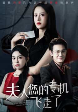 短剧夫人您的专机飞走了全集未删减免费在线观看,百度网盘、夸克网盘资源免费分享下载。